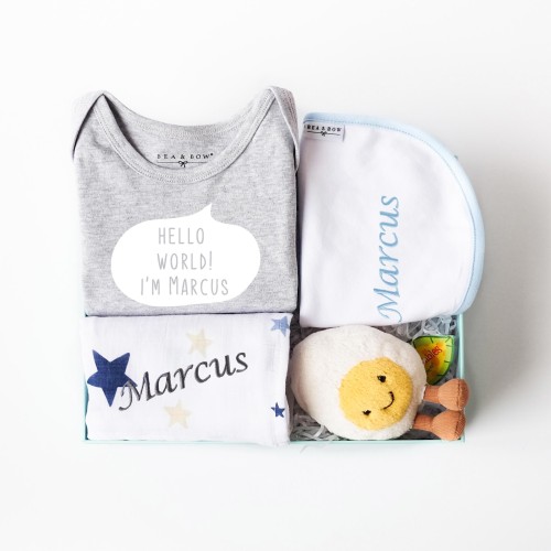 Just Hatched Box - Blue (Out of Stock)