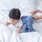Jellycat Fuddlewuddle Elephant 