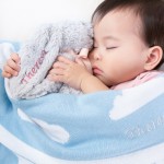 Jellycat Bashful Bunny - Silver (Sizes Available) (Out of Stock)
