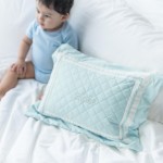 500 Thread Count PIMA Cotton Quilted Pillow - Peppermint (Out of Stock)