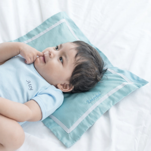 Mulberry Silk Filled Pillow - Seaglass