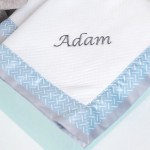 Dreams of Wonder™ Soothing Baby Blanket - Sprinkle and Spot Blue