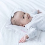 Mulberry Silk Filled Pillow (Pillowcase only)