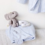 Blue Bear Hooded Towel & Bath Mitt